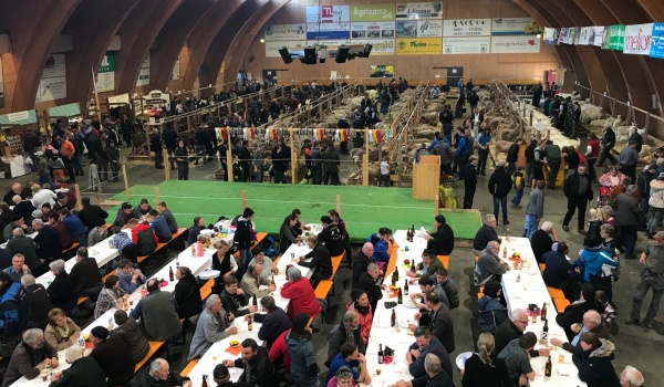 Impressionen der Markthalle Toggenburg