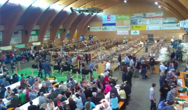 Impressionen der Markthalle Toggenburg